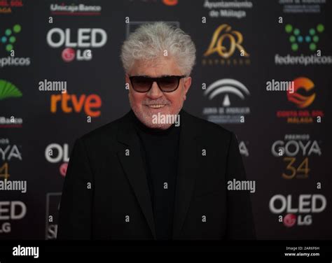 The 2016 Goya Awards Ceremony: A Triumphant Night for Pedro Almodóvar and Spanish Cinema